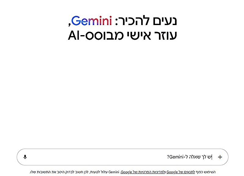 Google Gemini Interface